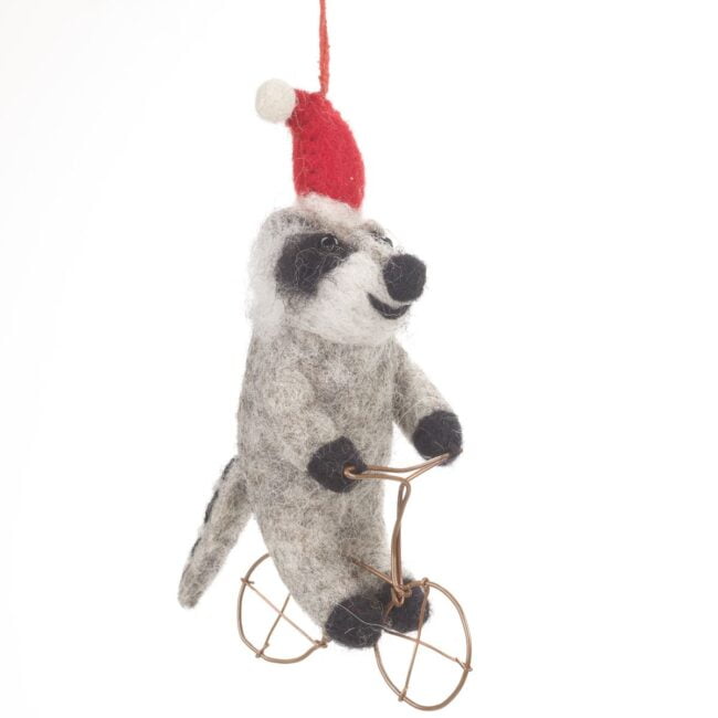 Felt Raccoon on bike